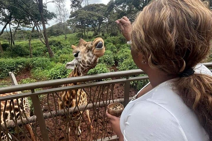 Giraffe Centre and Bomas of Kenya Day Tour from Nairobi