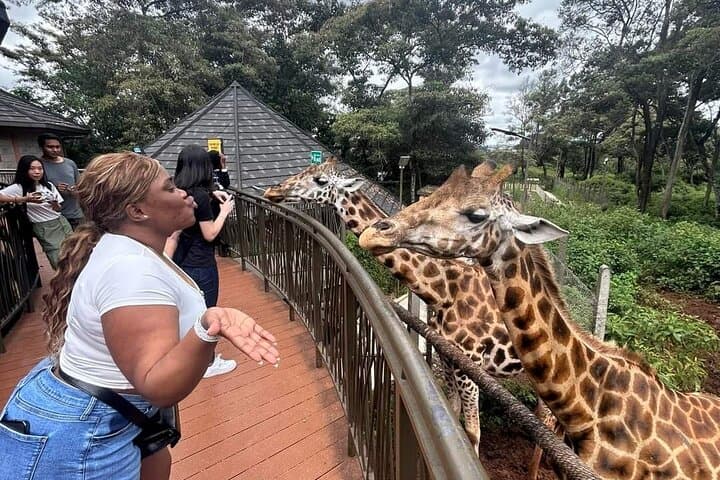 Giraffe Centre and Bomas of Kenya Day Tour from Nairobi photo 2
