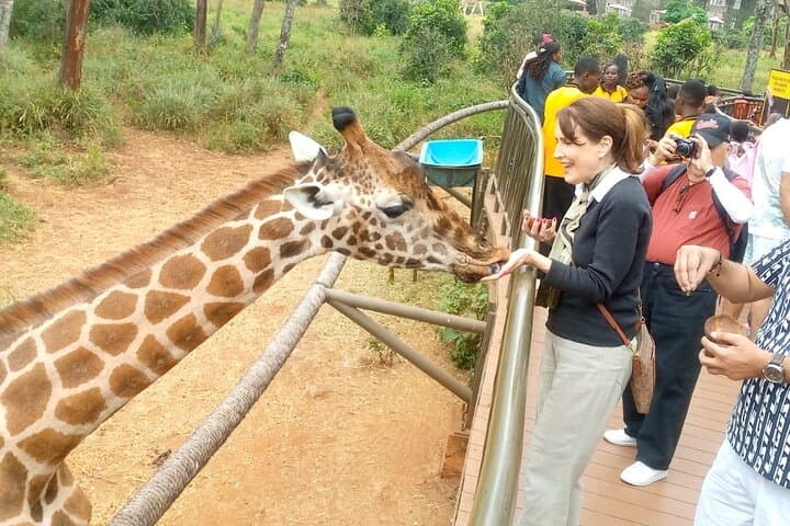 Giraffe Centre and Bomas of Kenya Day Tour from Nairobi photo 6
