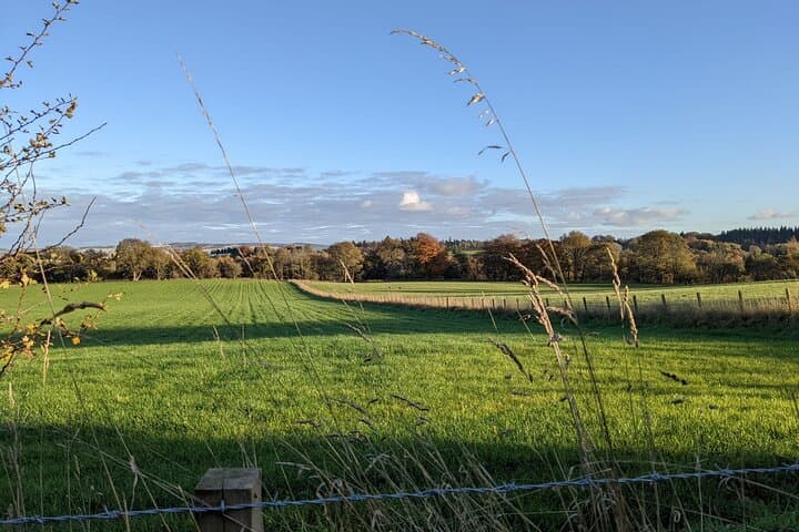 Roslin Glen Walking Tour from Edinburgh — Run Tours Lothian photo 3