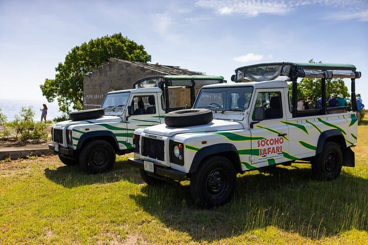 SoCoHo Jeep Safari Antigua — Betty's Hope, Devil's Bridge & Long Bay Beach photo 3