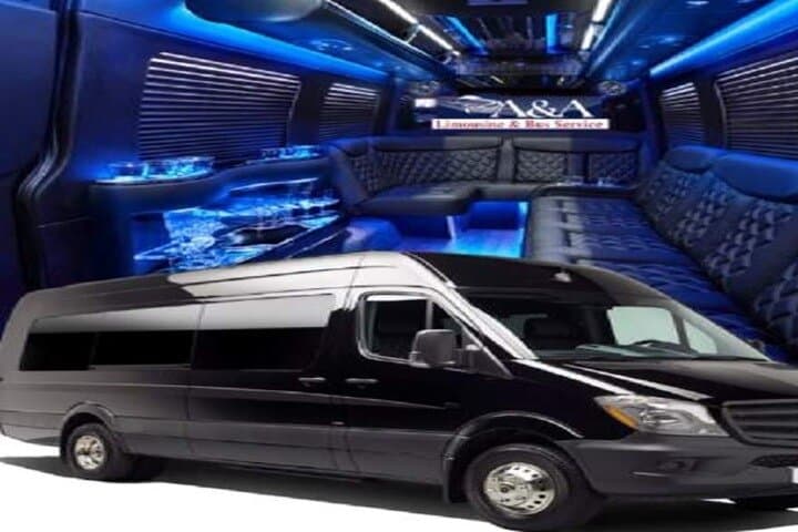 Private Hollywood Sprinter Limo Tour — Beverly Hills, Santa Monica & Griffith Observatory photo 6