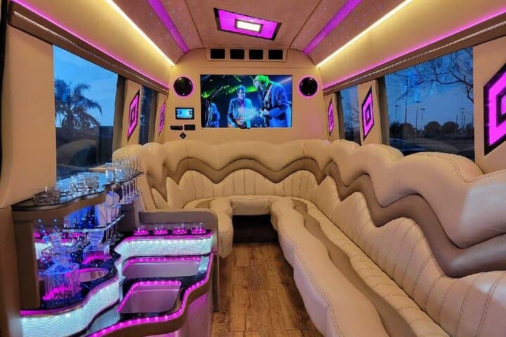 Private Hollywood Sprinter Limo Tour — Beverly Hills, Santa Monica & Griffith Observatory