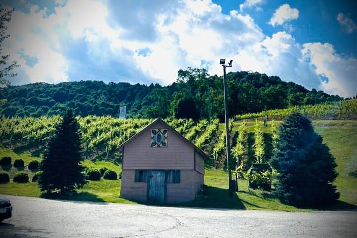 Grandfather Mountain Wine & Dine Private Tour from Asheville photo 2