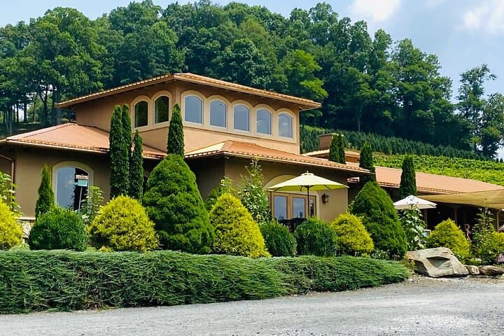 Grandfather Mountain Wine & Dine Private Tour from Asheville photo 4