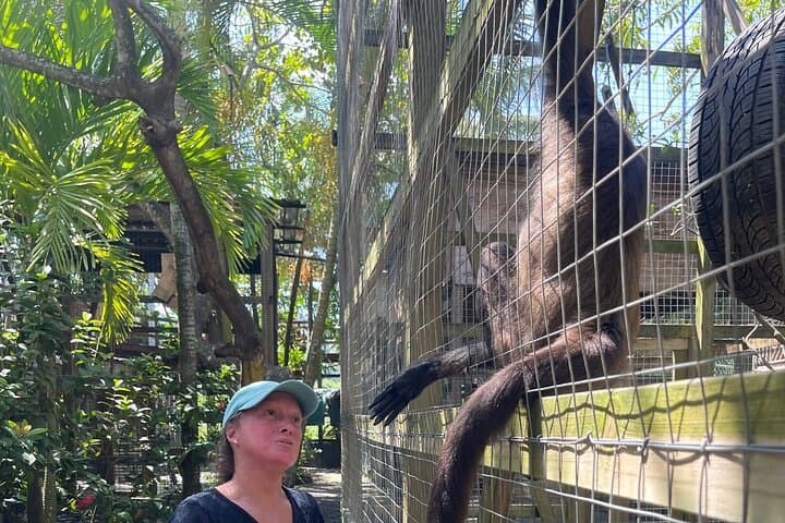 Roatán Monkey & Sloth Sanctuary Tour with Rum, Chocolate and City Highlights photo 3