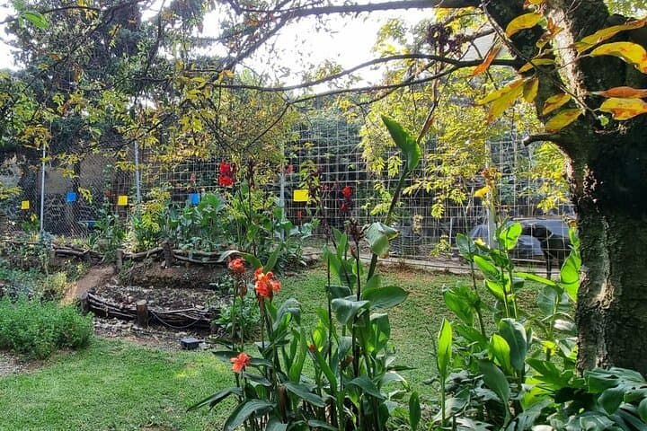 Forage & Learn at the Urban Orchard in Desierto de los Leones photo 5