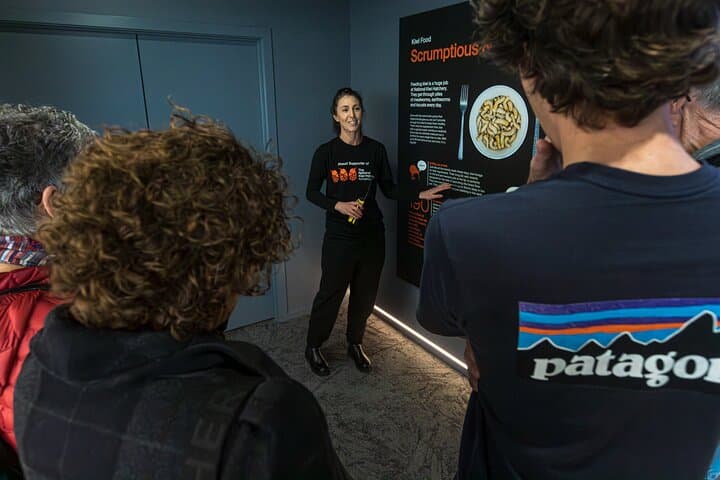Inside New Zealand's National Kiwi Hatchery: Kiwi Encounter Guided Tour photo 4