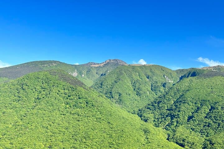 Healing South Jeju: Mt. Halla Hike, Jusangjeolli & Oedolgae Day Tour photo 2