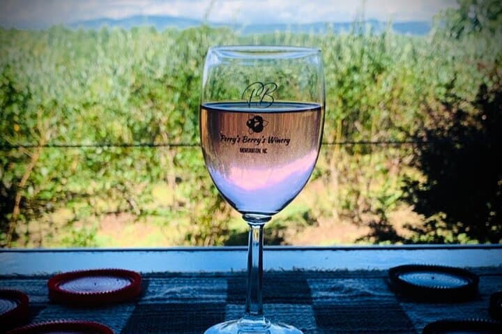 Private Asheville Wine Tour to Black Mountain: Winery Tastings & Downtown Dining photo 1