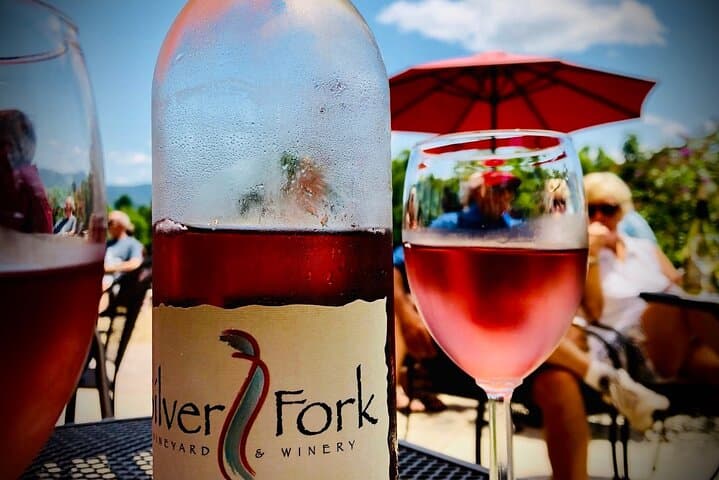 Private Asheville Wine Tour to Black Mountain: Winery Tastings & Downtown Dining photo 2