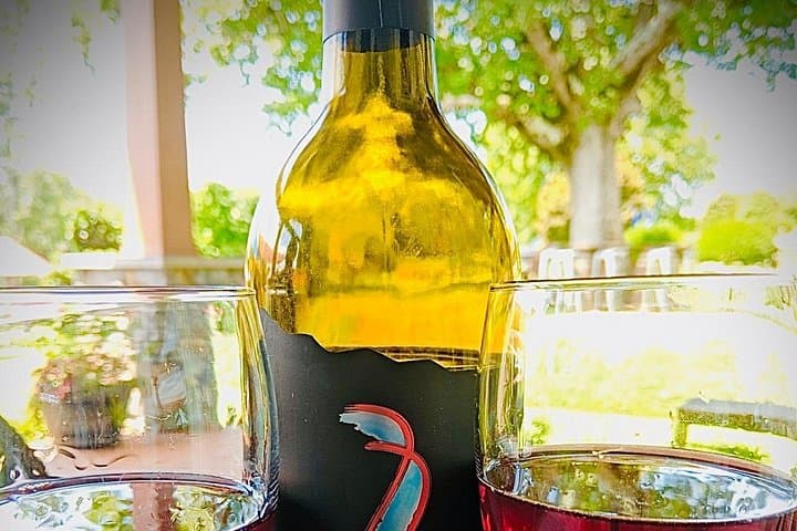 Private Asheville Wine Tour to Black Mountain: Winery Tastings & Downtown Dining photo 3