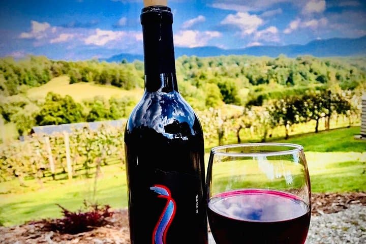 Private Asheville Wine Tour to Black Mountain: Winery Tastings & Downtown Dining photo 4