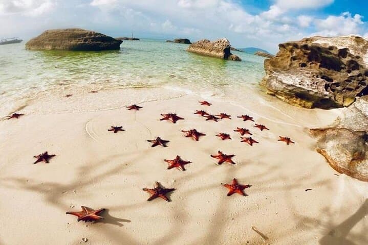 Phu Quoc Day Kayak: Starfish Beach, Bee Farm & Cua Can River