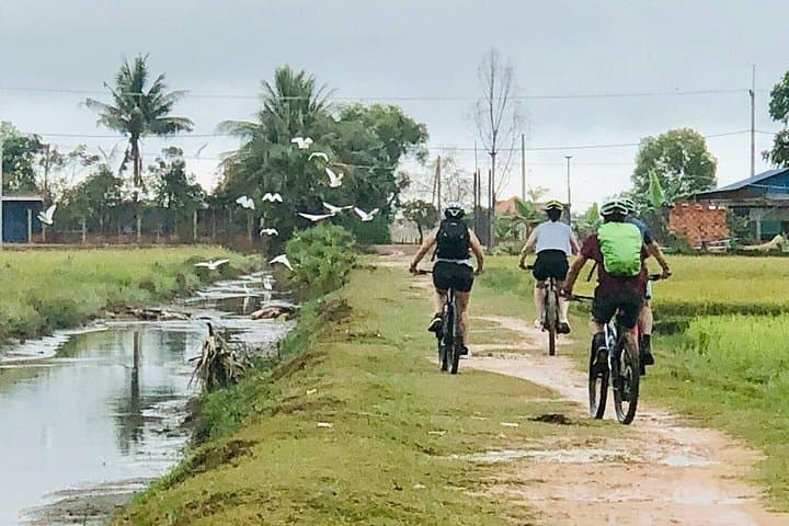 Short Cycling Through Siem Reap Countryside: Paddy Fields, Villages & Ancient Pagoda photo 6