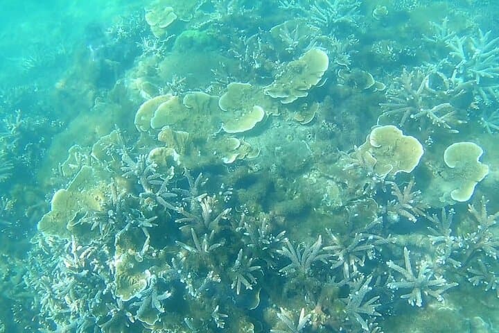 Vinh Hy Bay Snorkel & Hidden Waterfall Day Trip from Mui Ne photo 6