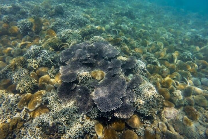 Mui Ne to Vinh Hy Bay: Snorkel, Cham Pottery & Hidden Waterfall Day Trip photo 3