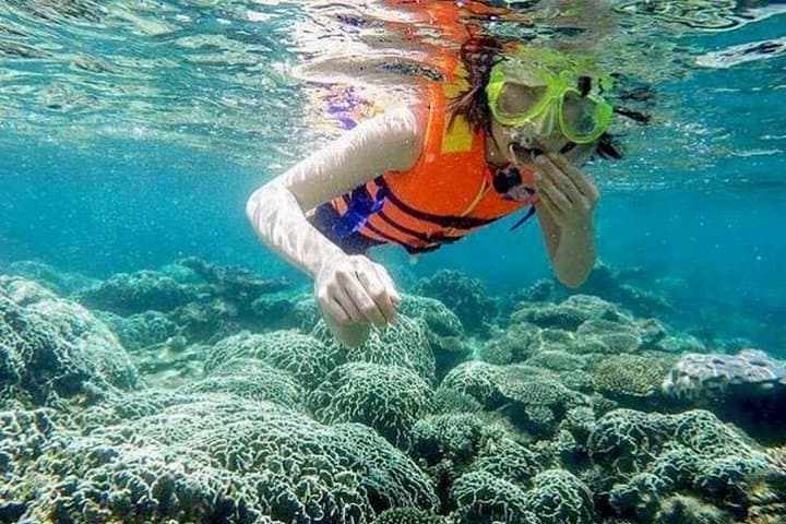 From Mui Ne to Vinh Hy Bay: Snorkeling, Hidden Waterfall & Cham Pottery Day Trip photo 3