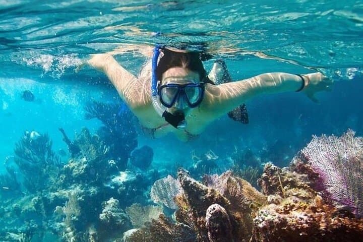 Vinh Hy Bay Snorkel & Hidden Waterfall Day Trip from Mui Ne photo 3