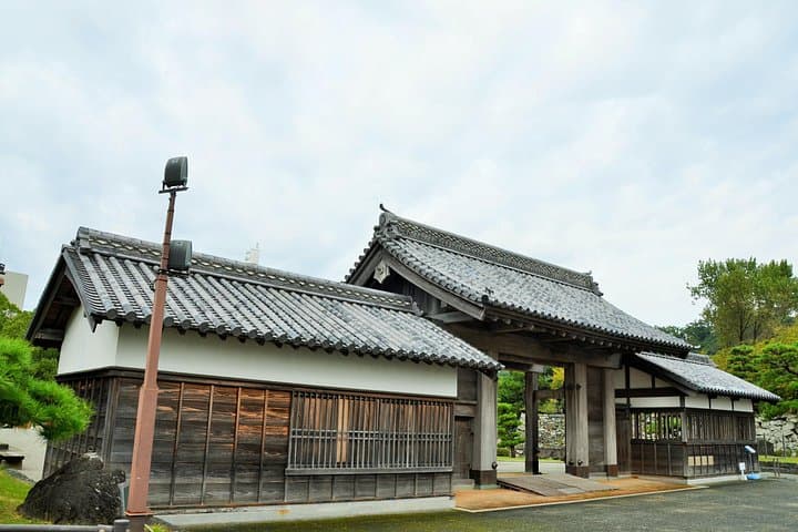 Custom Tokushima Full-Day Tour: Castle, Mount Bizan & Awa Odori Experiences photo 1