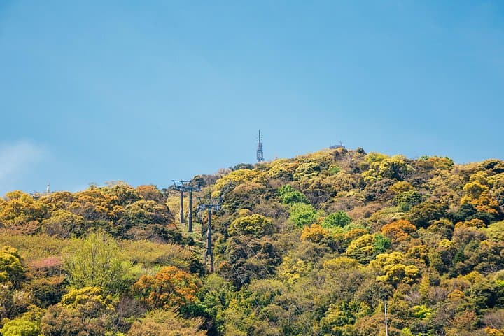 Custom Tokushima Full-Day Tour: Castle, Mount Bizan & Awa Odori Experiences photo 2