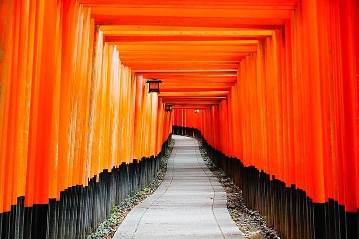 Autumn Kyoto Day Tour: Uji, Fushimi Inari & Tofukuji Fall Foliage photo 3