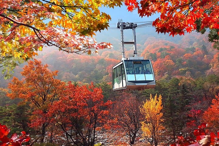 Seorak, Nami & Morning Calm: Full-Day Trip from Seoul to Korea’s Mountain, Island & Garden photo 3