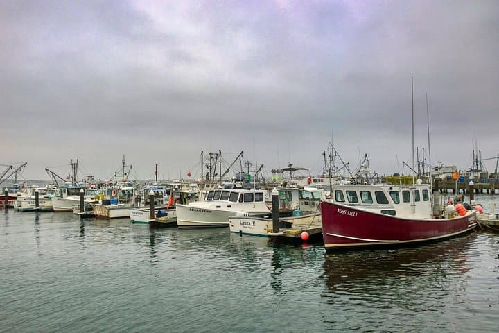 Self-Guided Scavenger Hunt in Provincetown — Crown Jewel of Cape Cod photo 6