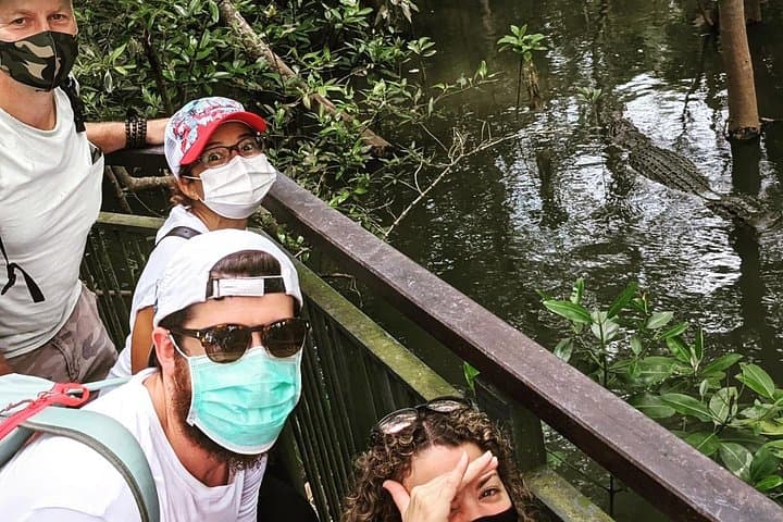 Exploring Sungei Buloh Wetlands Reserve: Mangrove Walks & Birdwatching in Singapore