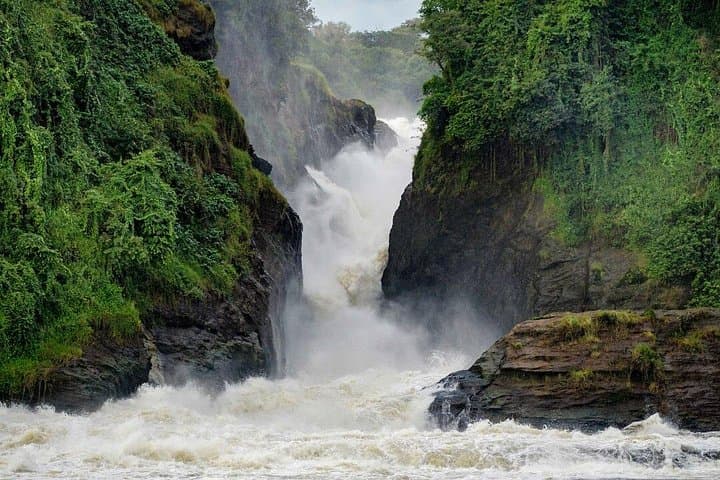 Murchison Falls Private 3-Day Wildlife Safari: Rhinos, Nile Cruise & Powerful Falls photo 1