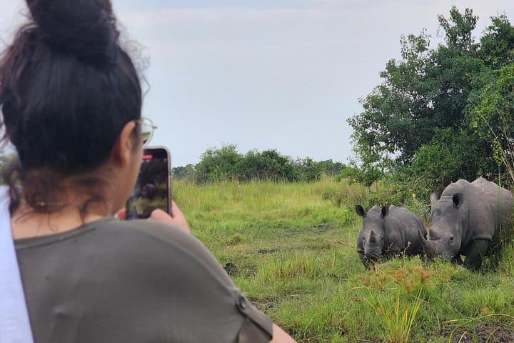 Murchison Falls Private 3-Day Wildlife Safari: Rhinos, Nile Cruise & Powerful Falls photo 3