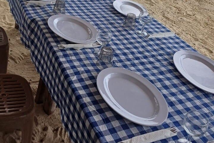 Private Dolphin-Watching, Snorkeling & Seafood BBQ from Le Morne, Mauritius photo 6