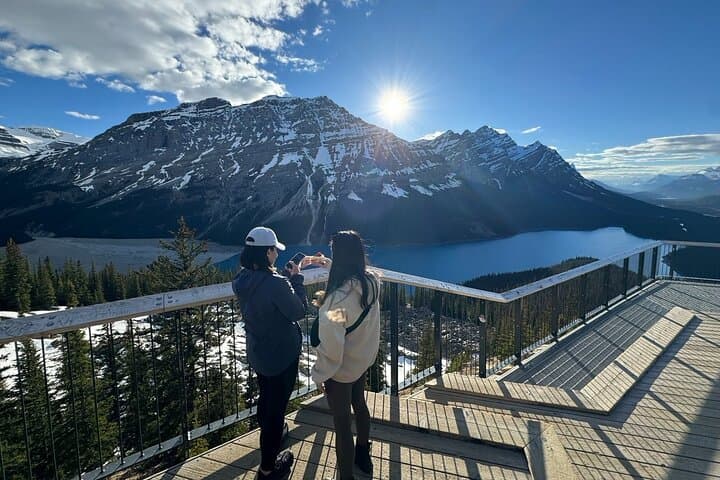 Half-Day Banff Scenic Tour: Lake Louise, Peyto Lake, Bow Lake & Crowfoot Glacier