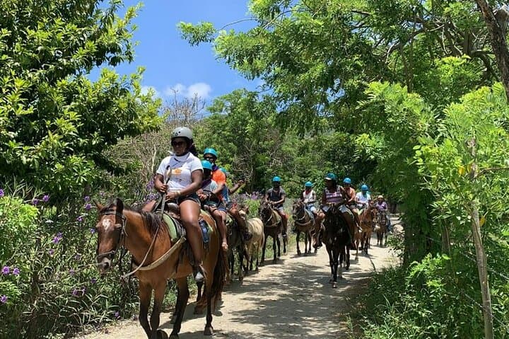 Puerto Plata Sightseeing and Horseback Riding from Amber Cove