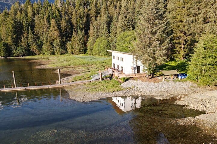 Sitka Wildlife Cruise and Silver Bay Homestead Discovery photo 5