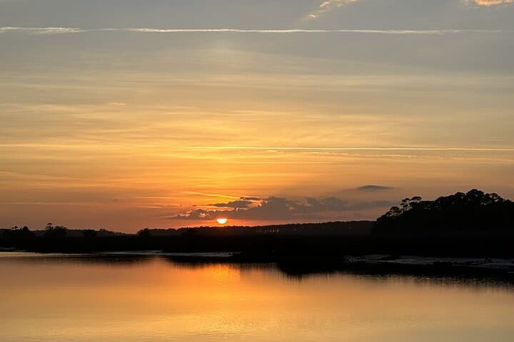 Private Folly Beach Dolphin Watching & Morris Island Shelling Tour photo 5
