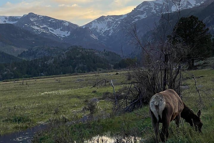 Bear Lake Corridor Sunset Tour: Photography & Wildlife in Rocky Mountain National Park photo 3