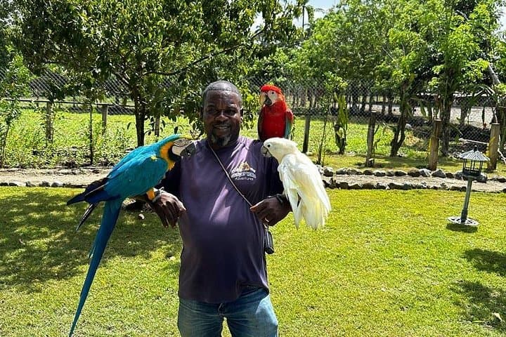 Puerto Plata Sightseeing & Countryside Tour — Amber Cove to Taino Bay photo 4