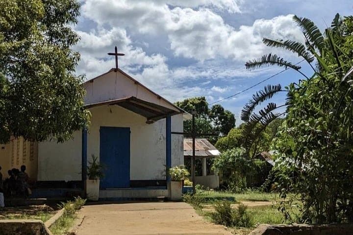 Lokobe Reserve & Ambatozavavy Village: Nosy Be Wildlife and Sakalava Cultural Day Trip