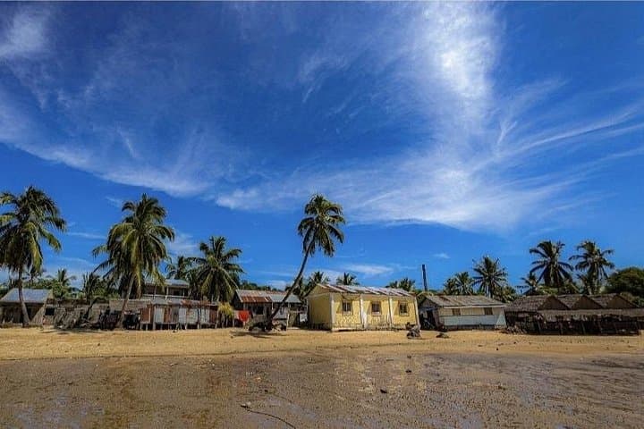 Lokobe Reserve & Ambatozavavy Village: Nosy Be Wildlife and Sakalava Cultural Day Trip photo 2