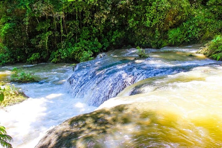 Montego Bay to Blue Hole and Dunn's River Falls — Private Day Tour Guide photo 3