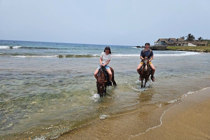 Roatán Half-Day: Zipline, Sanctuary, Horseback Ride & West Bay Snorkel photo 2