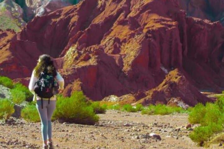Rainbow Valley Tour from San Pedro de Atacama — Colorful Geology, Petroglyphs & Breakfast photo 3