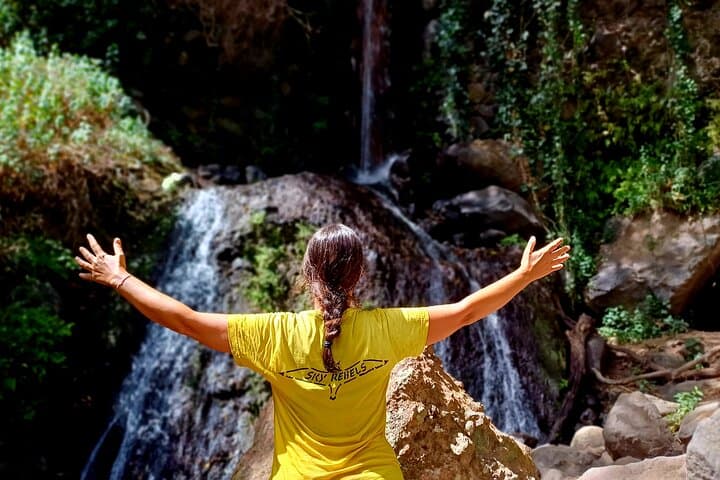 Barranco de los Cernícalos: Waterfalls & Rainforest Hike with Local Guides in Gran Canaria