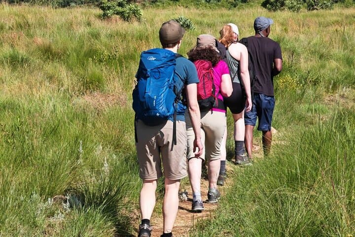 Cradle of Humankind Tour: Sterkfontein Caves & Maropeng Visitor Centre from Johannesburg