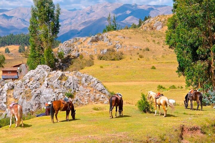 Cusco Half-Day Horseback Ride to Sacsayhuaman — Mistic City Tour photo 4