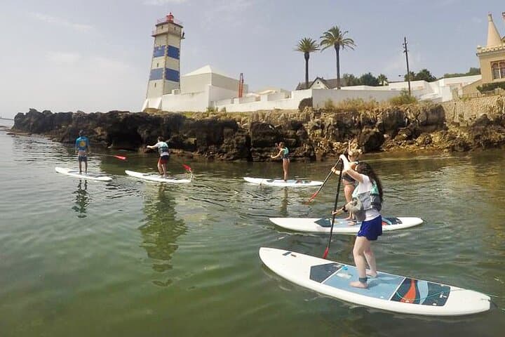 Paddle Cascais Bay: Beginner SUP Lessons on Portugal's Atlantic Coast photo 2