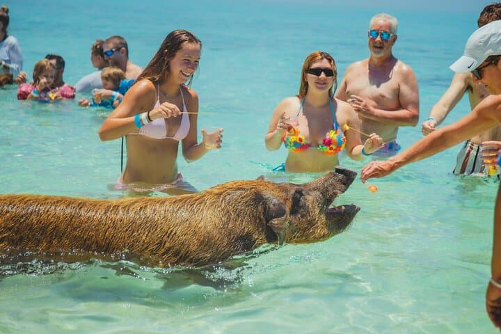 Rose Island All‑Inclusive Beach Day from Nassau — Boat, Snorkel & Island Fun photo 1