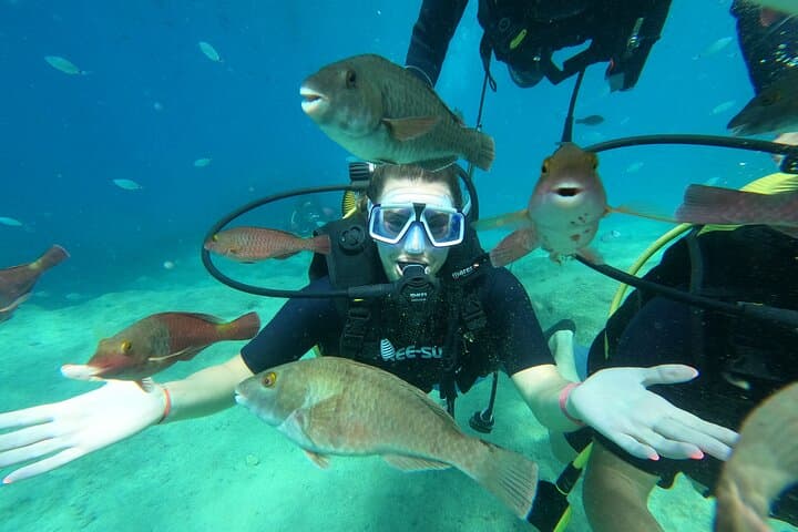 Guided Scuba Dives in Alanya — Two-Dive Day Trip with Lunch & Transfers photo 2