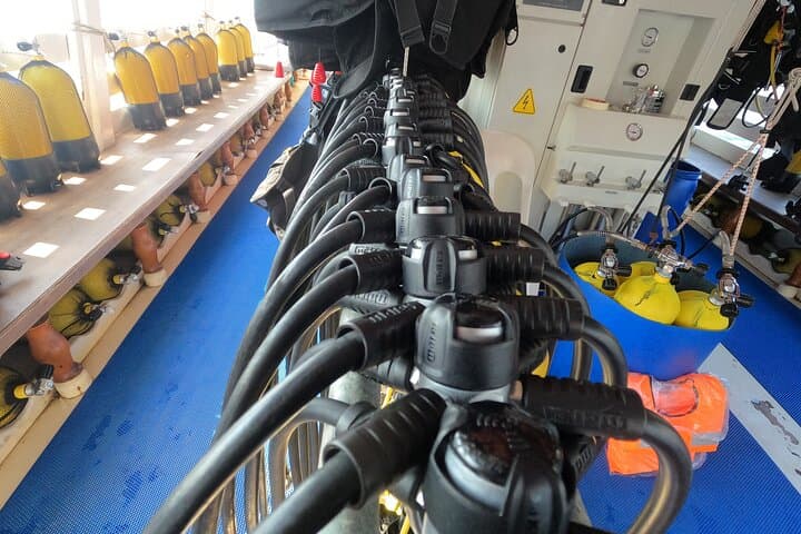Guided Scuba Dives in Alanya — Two-Dive Day Trip with Lunch & Transfers photo 3